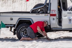 AFD2019-062